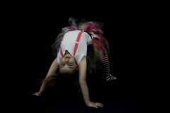 acro-individual-4